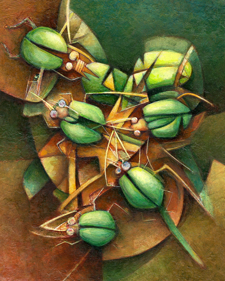 escarabajos